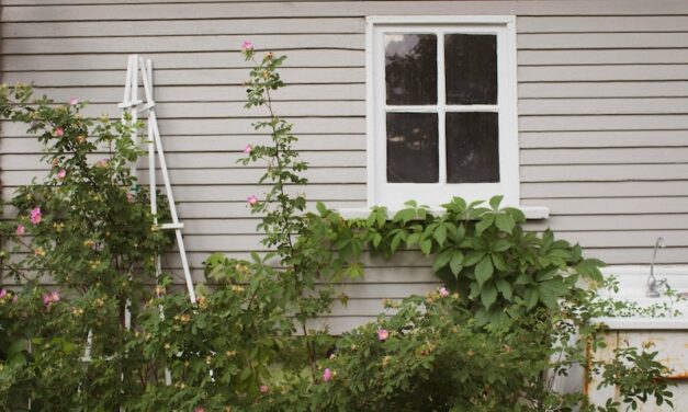 Die richtigen Fenster und Türen für das Gartenhaus auswählen – worauf es wirklich ankommt